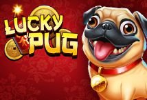 Lucky Pug slot